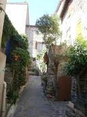 Cliquez pour agrandir l'image