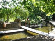 Cliquez pour agrandir l'image